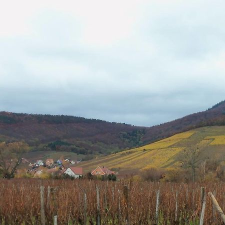 Apartment Route Du Vin Centre Alsace オルシュヴィラー 部屋 写真