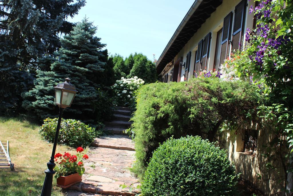 Apartment Route Du Vin Centre Alsace オルシュヴィラー 部屋 写真