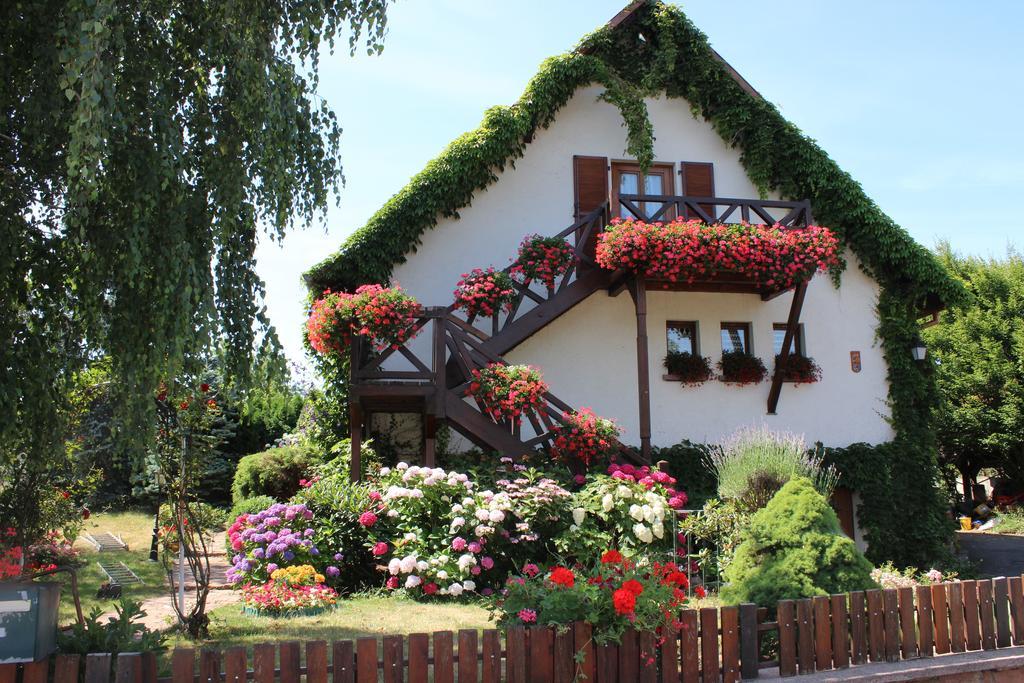 Apartment Route Du Vin Centre Alsace オルシュヴィラー 部屋 写真